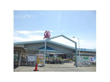 コメリハード＆グリーン河芸店：447m