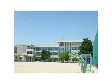 津市立豊津小学校：800m