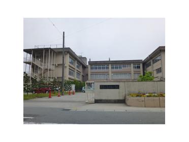 津市立南立誠小学校：561m