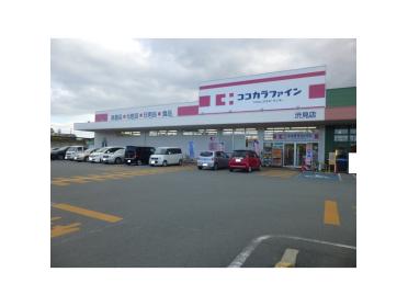 ココカラファイン渋見店：440m