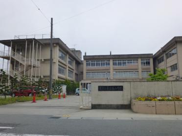 津市立南立誠小学校：489m