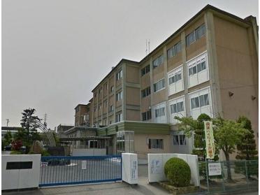 市立有玉小学校：450m