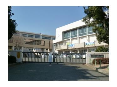 秦野市立鶴巻小学校：733m