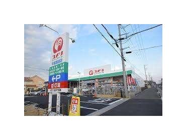 コメリハード＆グリーン平塚真田店：808m