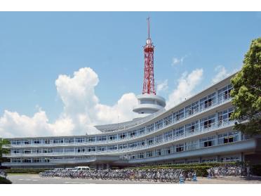 東海大学付属図書館中央図書館：247m