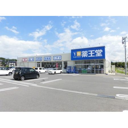 滝沢ヒルズ　Ｃ 周辺環境写真4 薬王堂滝沢巣子店：2263m