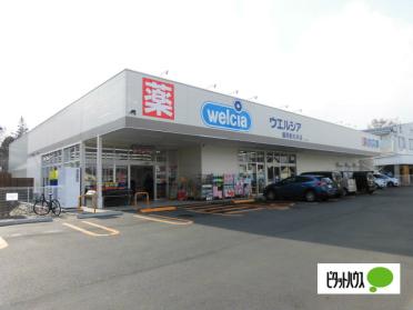 ウエルシア盛岡前九年店：331m