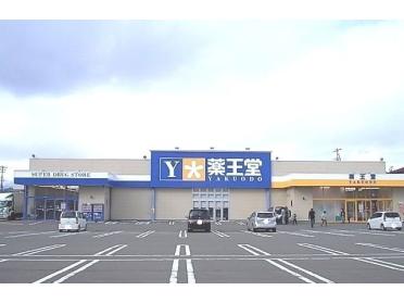 薬王堂盛岡厨川店：800m