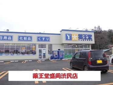 薬王堂盛岡渋民店：400m