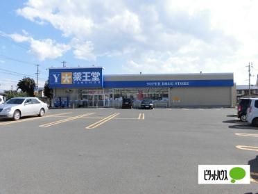 薬王堂盛岡津志田店：121m