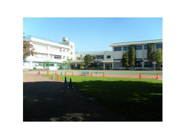 大田区立清水窪小学校：304m