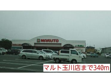 マルト玉川店：340m