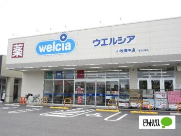 ウエルシア小牧郷中店：676m