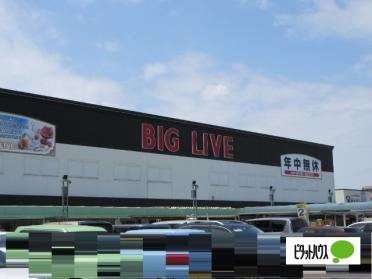 BIGLIVE小牧店：633m