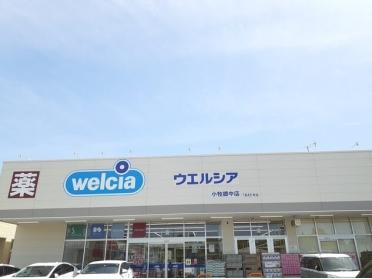 ウエルシア　郷中店：650m