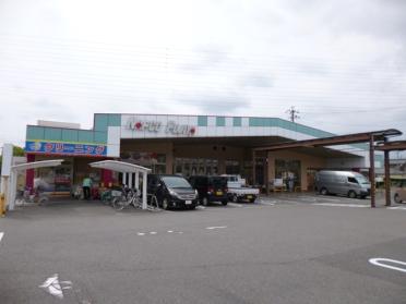 ナフコ不二屋　田県店：1100m