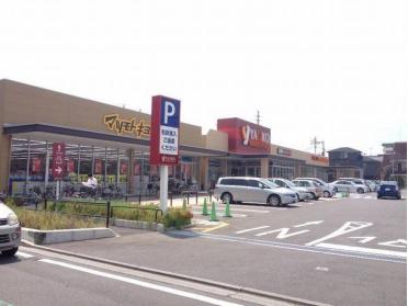 ヤオコー市川新田店：1100m