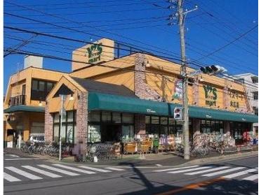 ワイズディスカ末広店