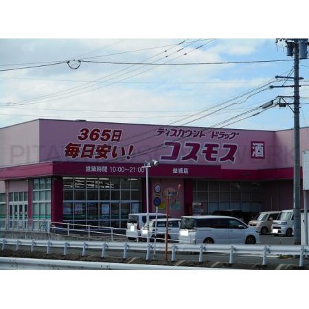 フィオーレＳＫ 周辺環境写真1 コスモス益城店：1000m