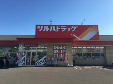 ツルハドラッグ東6条店：366m