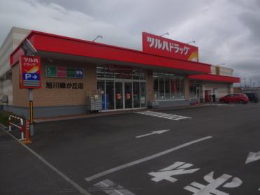 ツルハドラッグ緑が丘店：1220m