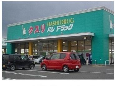 ハシドラッグ南福島店：1200m