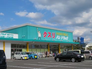 ハシドラッグ福島中央店：880m