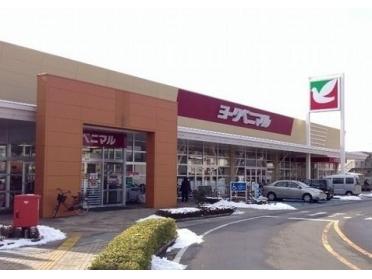 ヨークベニマル福島泉店：800m