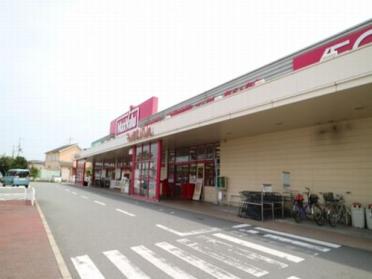 マックスバリュ恵比須店：1305m