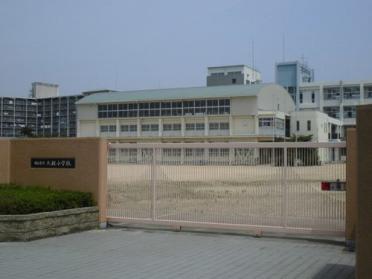 明石市立大観小学校：573m