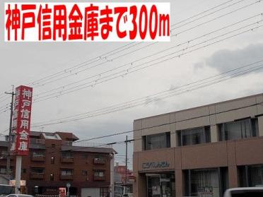 神戸信用金庫玉津支店：263m