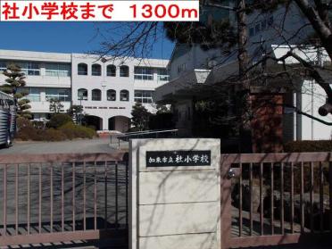 社小学校：1300m