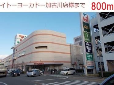 イトーヨーカドー加古川店：800m