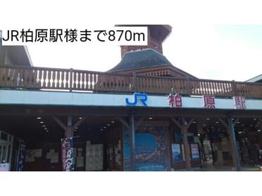 JR柏原駅様：870m