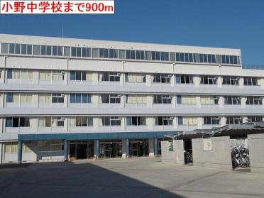 小野中学校：900m