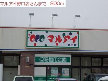 マルアイ野口店：800m