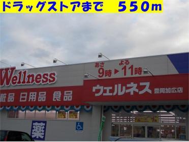 ウェルネス：550m