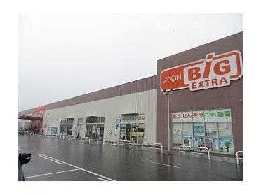 ザビッグエクストラ氷上店様：950m