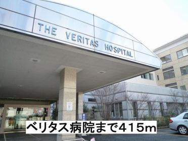 ベリタス病院：415m