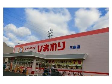 スーパードラッグひまわり三条店：800m