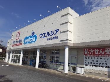 ウエルシア高崎上佐野店：1300m