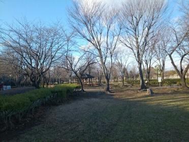 浜川運動公園：1200m