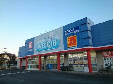 ウエルシア高崎上佐野店：130m