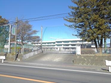 市立堤ヶ岡小学校：500m