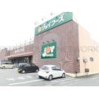 ジョイフーズ高崎西店：750m