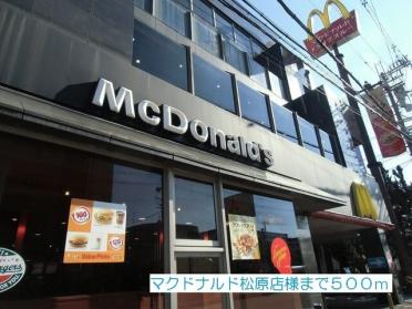 マクドナルド松原店様：500m