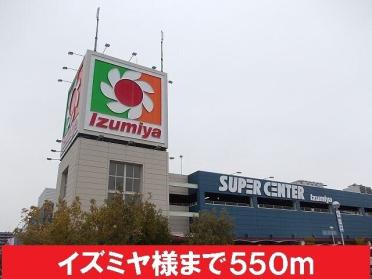 イズミヤ様：550m