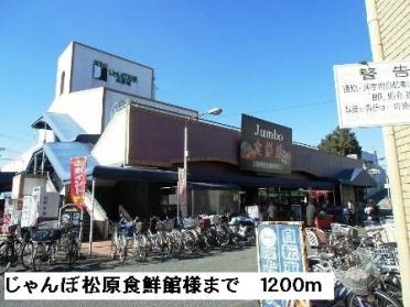 じゃんぼ松原食鮮館様：1200m