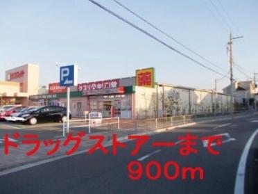 キリン堂萬崎菱木店：900m