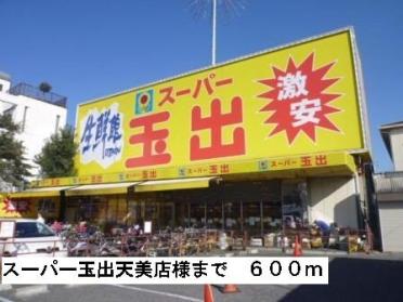 スーパー玉出天美店様：600m